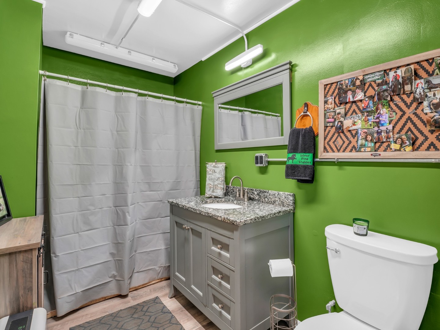 12216 Pleasant Valley Road Woodstock, IL 60098 - Photo 45 of 48 a bathroom with a toilet sink and green walls