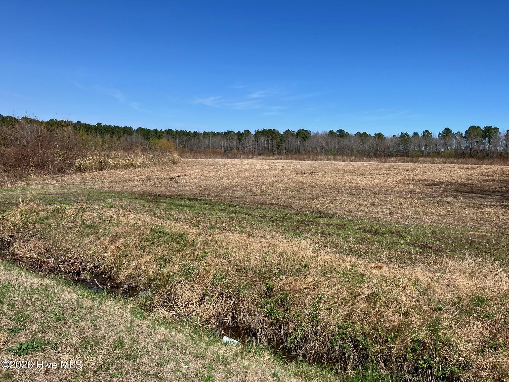 9249 Prison Camp Road Robersonville, NC 27871 - Photo 11 of 13 original-BEA751E0-4226-42EC-8916-9D50E04