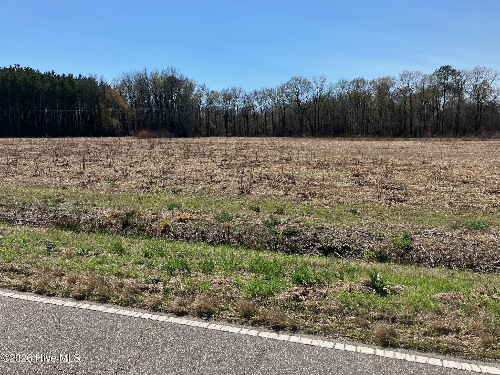 9249 Prison Camp Road Robersonville, NC 27871 - Photo 9 of 13 original-B870C60E-ED8F-43E8-85CA-3DD6652