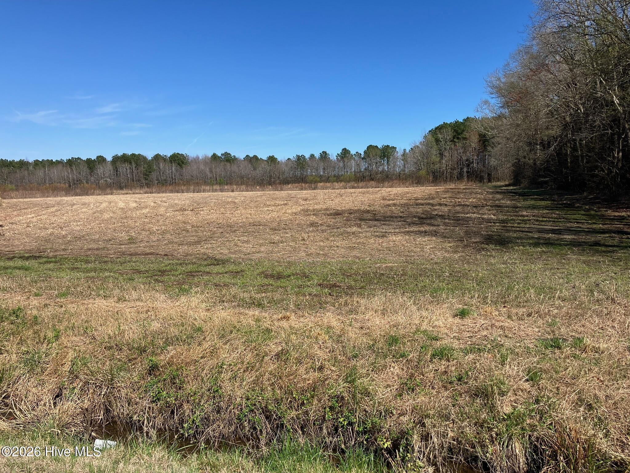 9249 Prison Camp Road Robersonville, NC 27871 - Photo 10 of 13 original-55FA6486-B94E-48B8-A5C4-5EA41D1