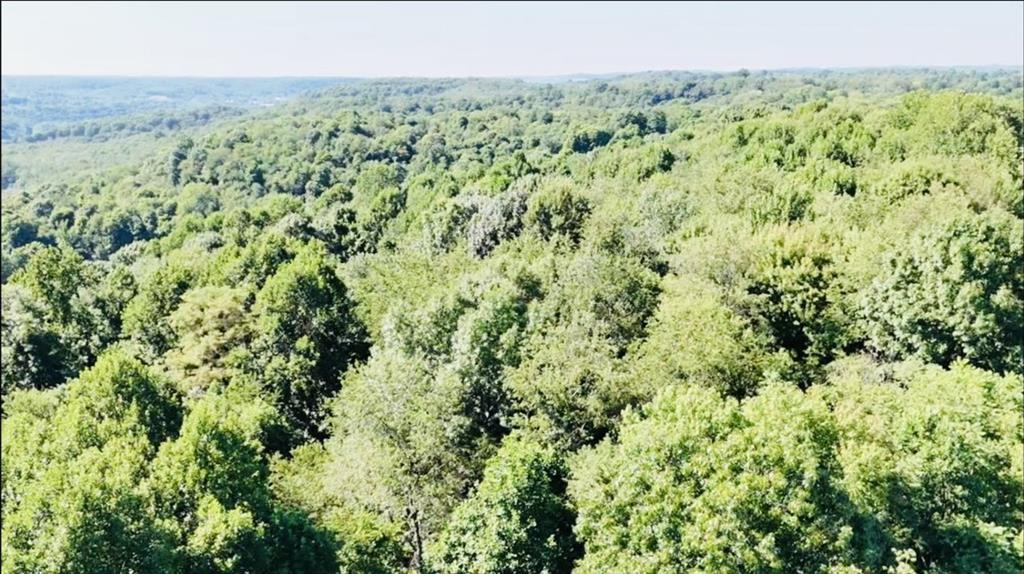 0 Brighton Road Ellwood City, PA 16117 - Photo 5 of 9 Build big. Dream bigger. This land can handle both.