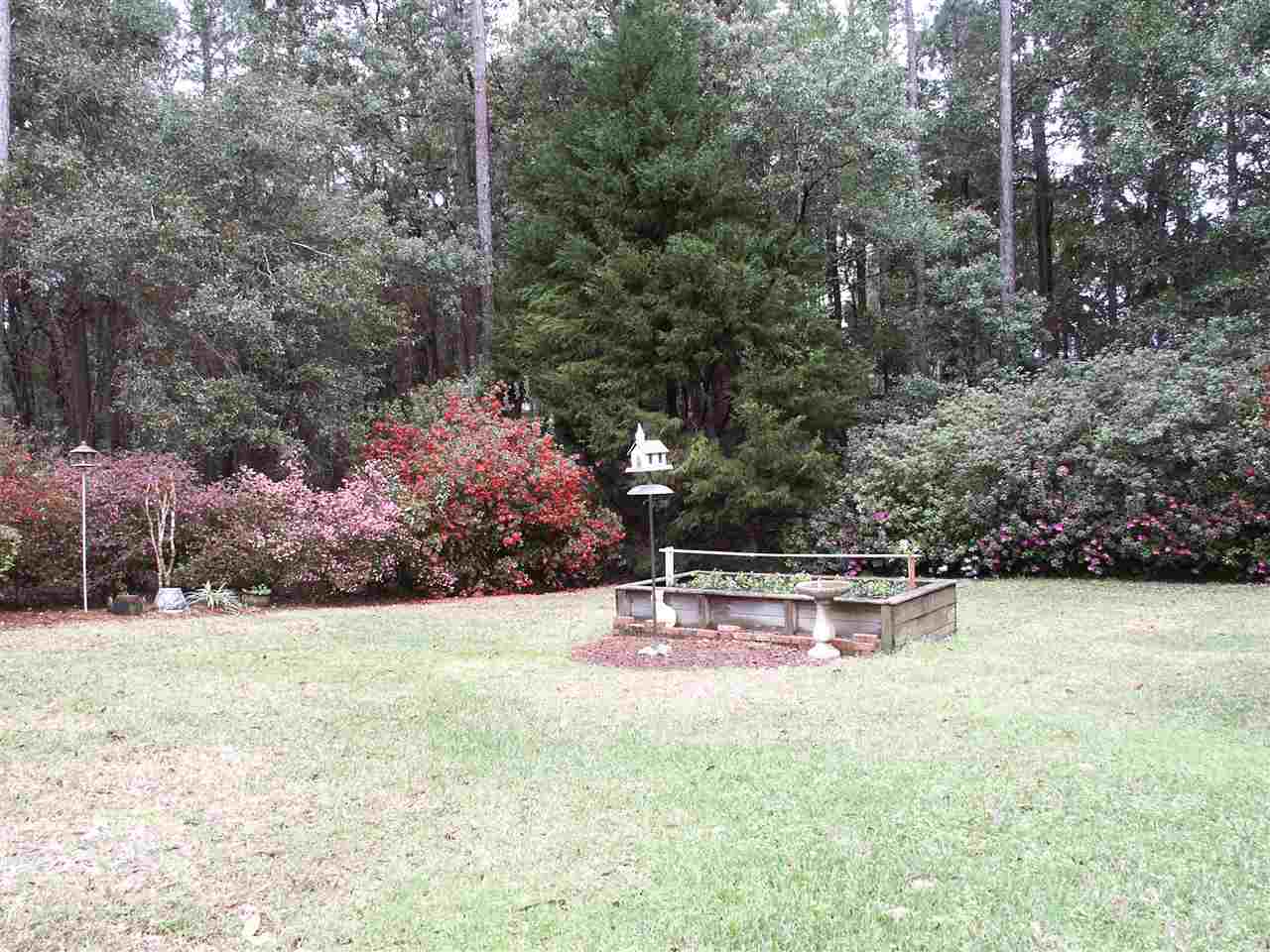 2681 Pine Ridge Drive Lillian, AL 36549 - Photo 19 of 36 Beautiful Back Yard