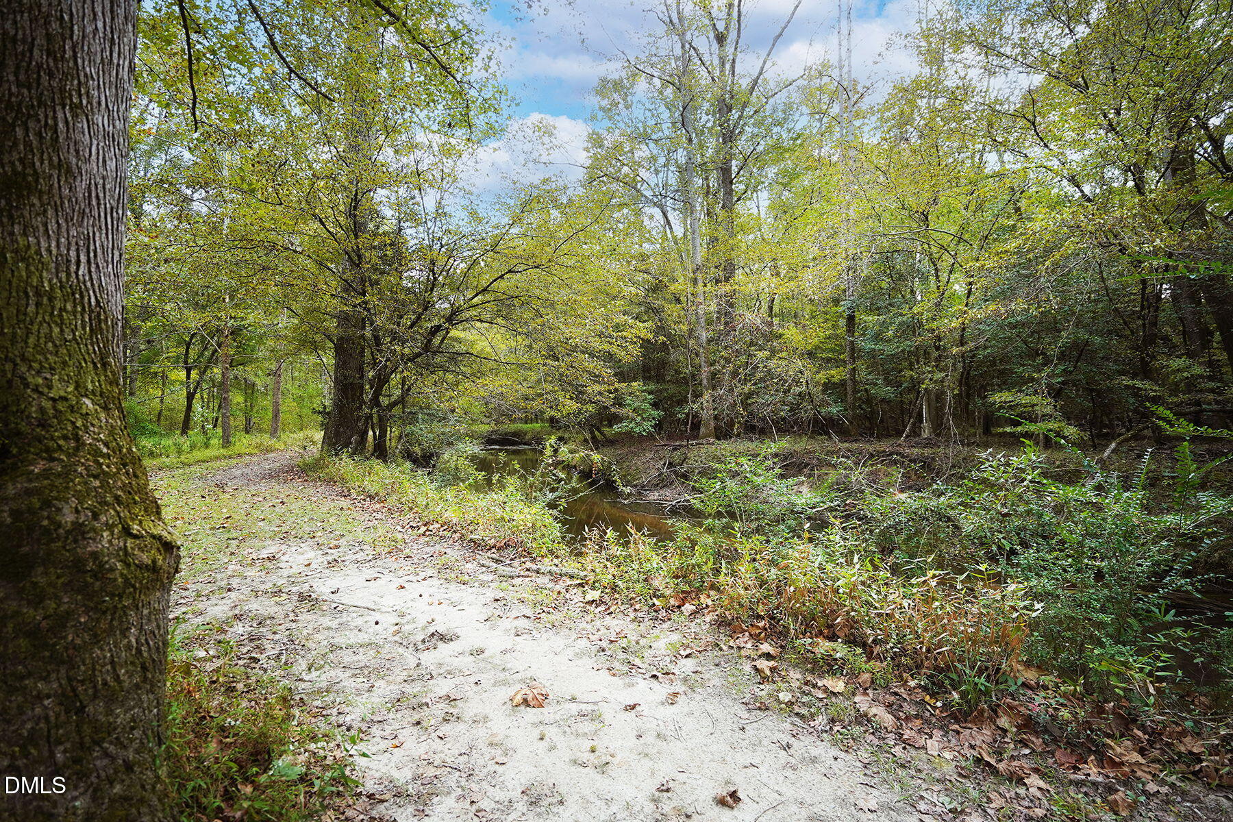 144 Quail Ridge Angier, NC 27501 - Photo 39 of 42 41-web-or-mls-144 Quail Ridge Dr-161