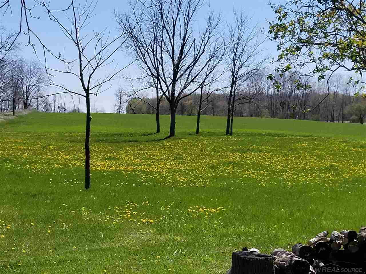 54 North Croswell Road Croswell, MI 48422 - Photo 42 of 42
