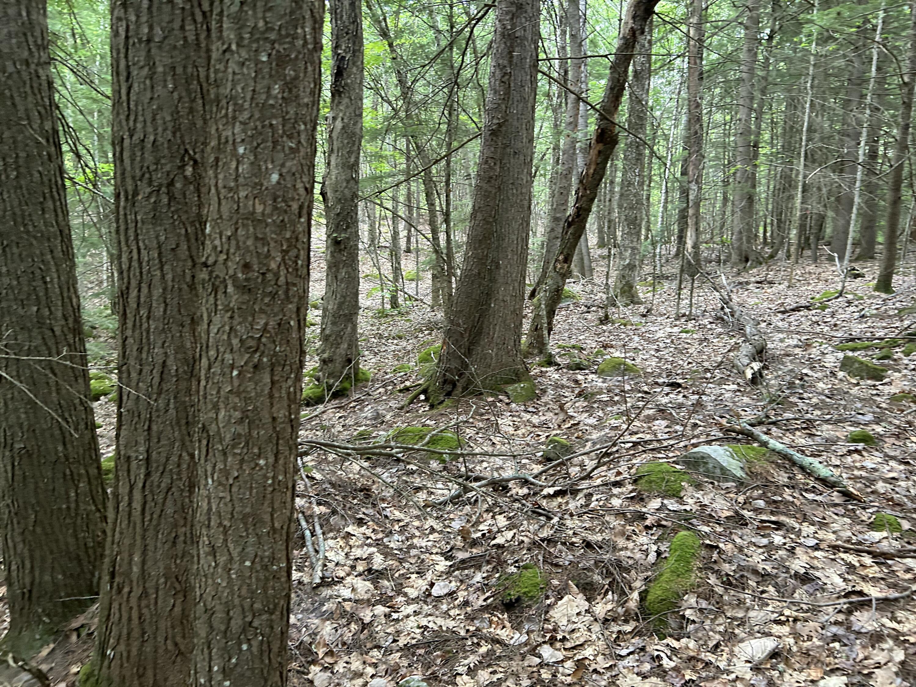 M7-l99h Bolton Hill Road Augusta, ME 04330 - Photo 25 of 30 57