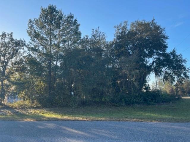 Southwest 153rd Pl Road Ocala, FL 34473 - Photo 1 of 1 Gallery Image 1