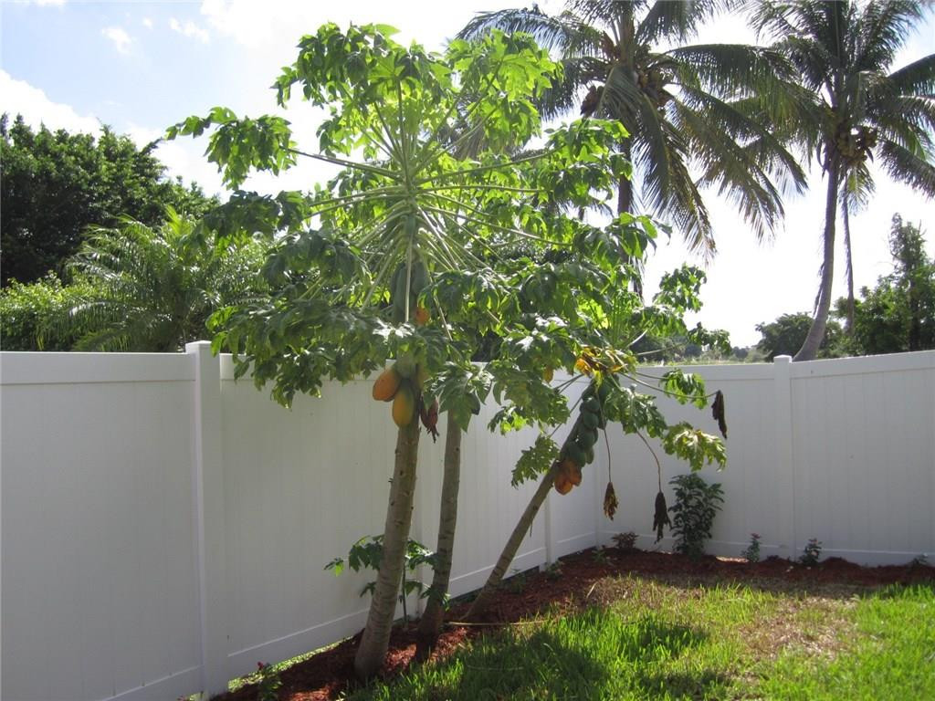 22944 Greenview Terrace Boca Raton, FL 33433 - Photo 33 of 100 Photo 33