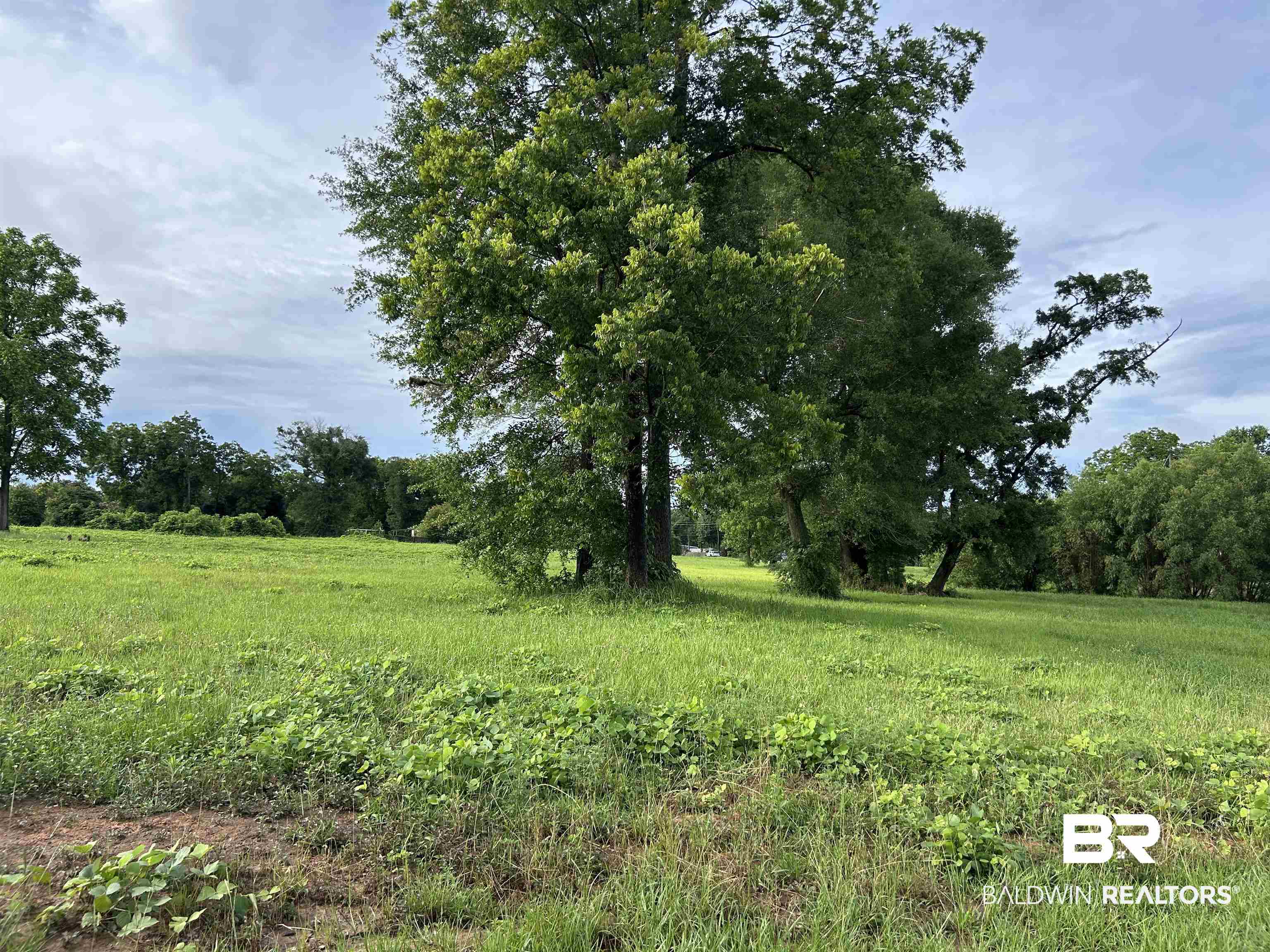 0 Grelot Road Mobile, AL 36695 - Photo 3 of 4