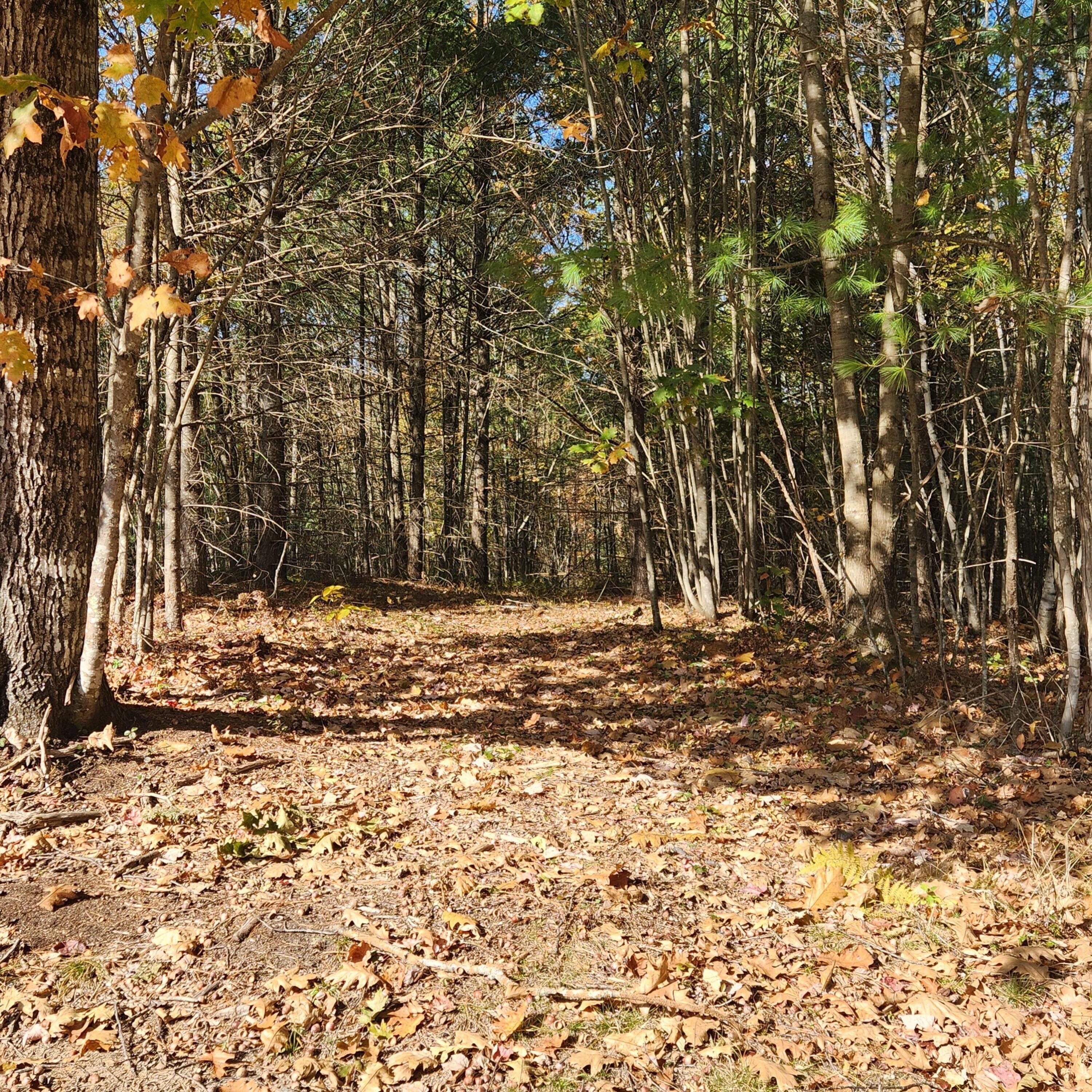 Map2 Map2 Lot7g Livermore, ME 04253 - Photo 12 of 21 20241019_125359