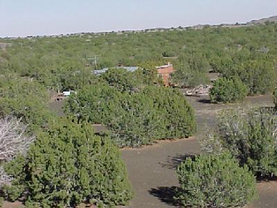 1 West Alpine Ranch Flagstaff, AZ 86004 - Photo 25 of 36 Additional Photo