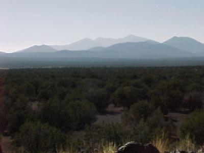 1 West Alpine Ranch Flagstaff, AZ 86004 - Photo 27 of 36 Additional Photo