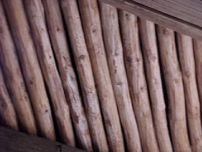 1 West Alpine Ranch Flagstaff, AZ 86004 - Photo 36 of 36 Additional Photo