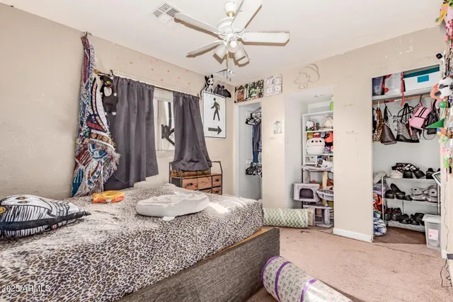 a bedroom with a bed and a walk in closet