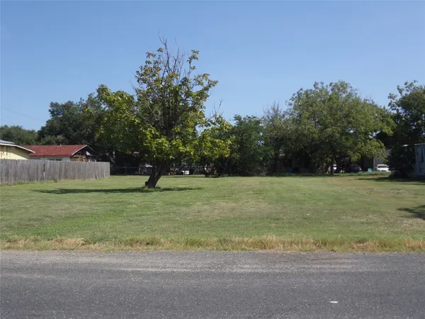 a view of a tree in a park