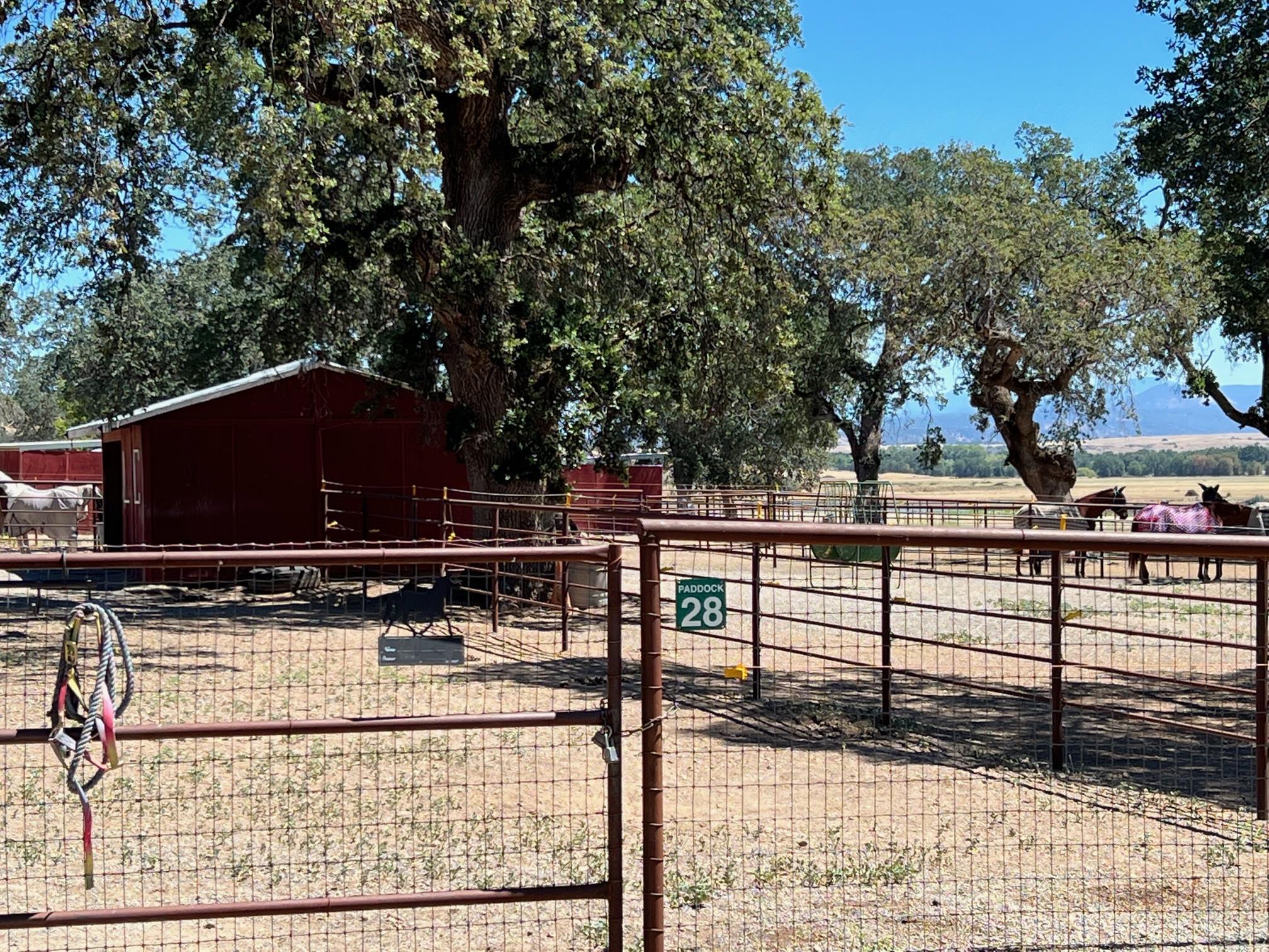 Lot 79 Rio Alto Drive Red Bluff, CA 96080 - Photo 7 of 14