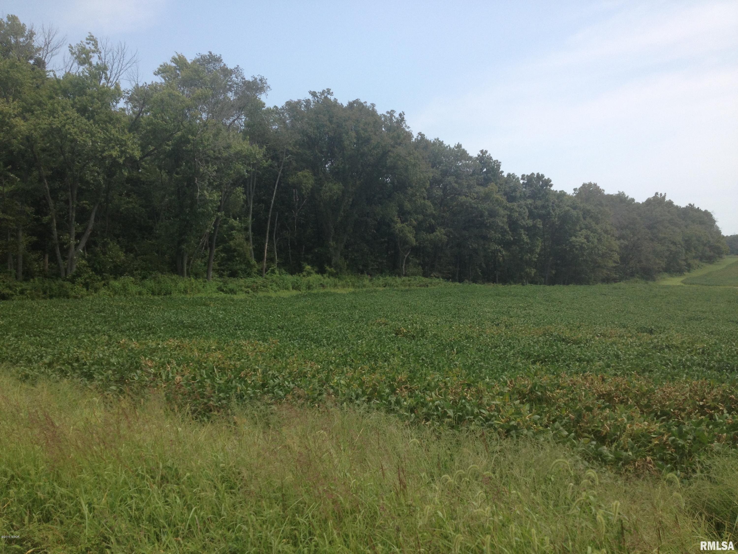 Xxx Thompson Road Tamaroa, IL 62888 - Photo 1 of 8