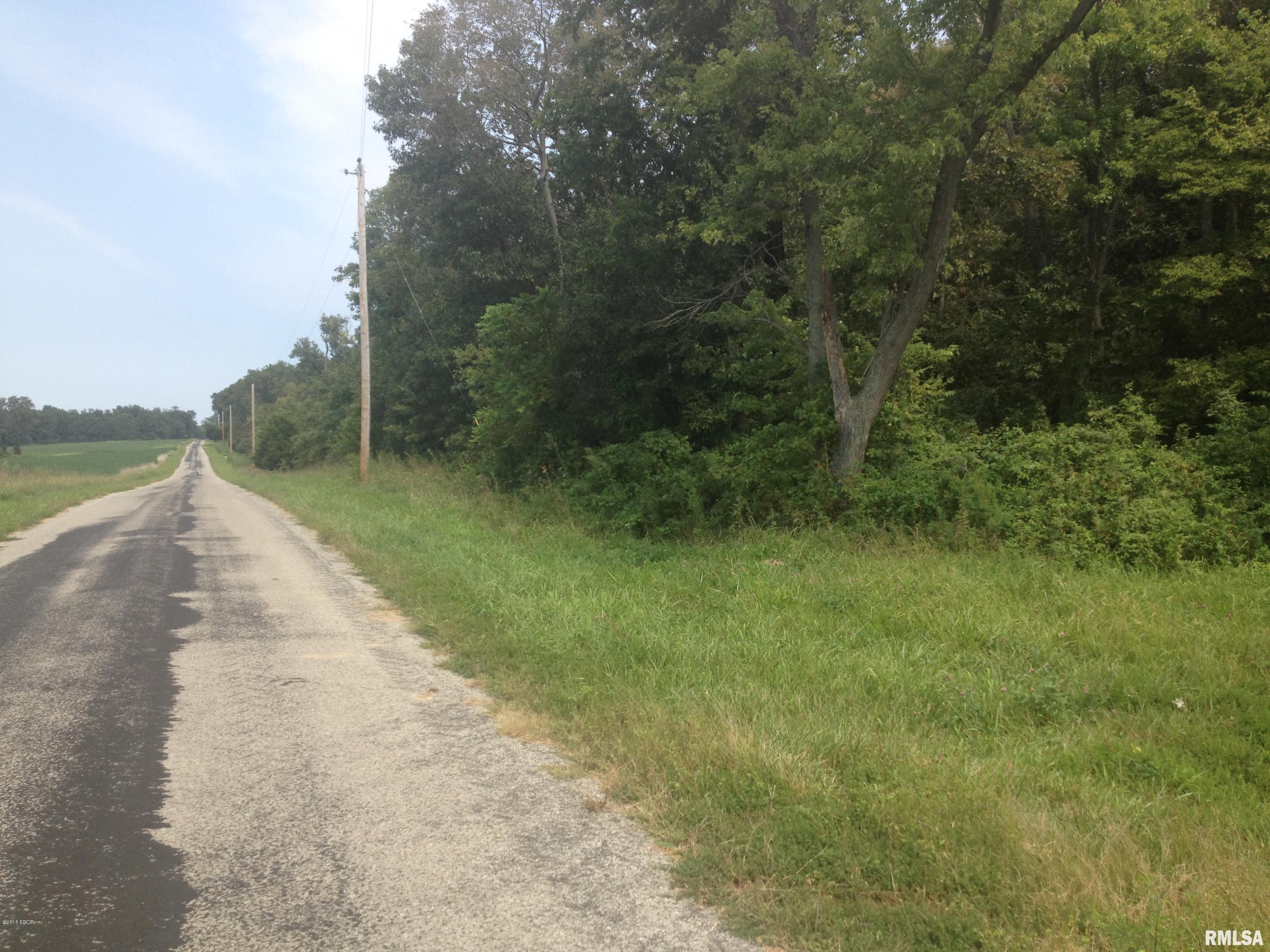 Xxx Thompson Road Tamaroa, IL 62888 - Photo 2 of 8