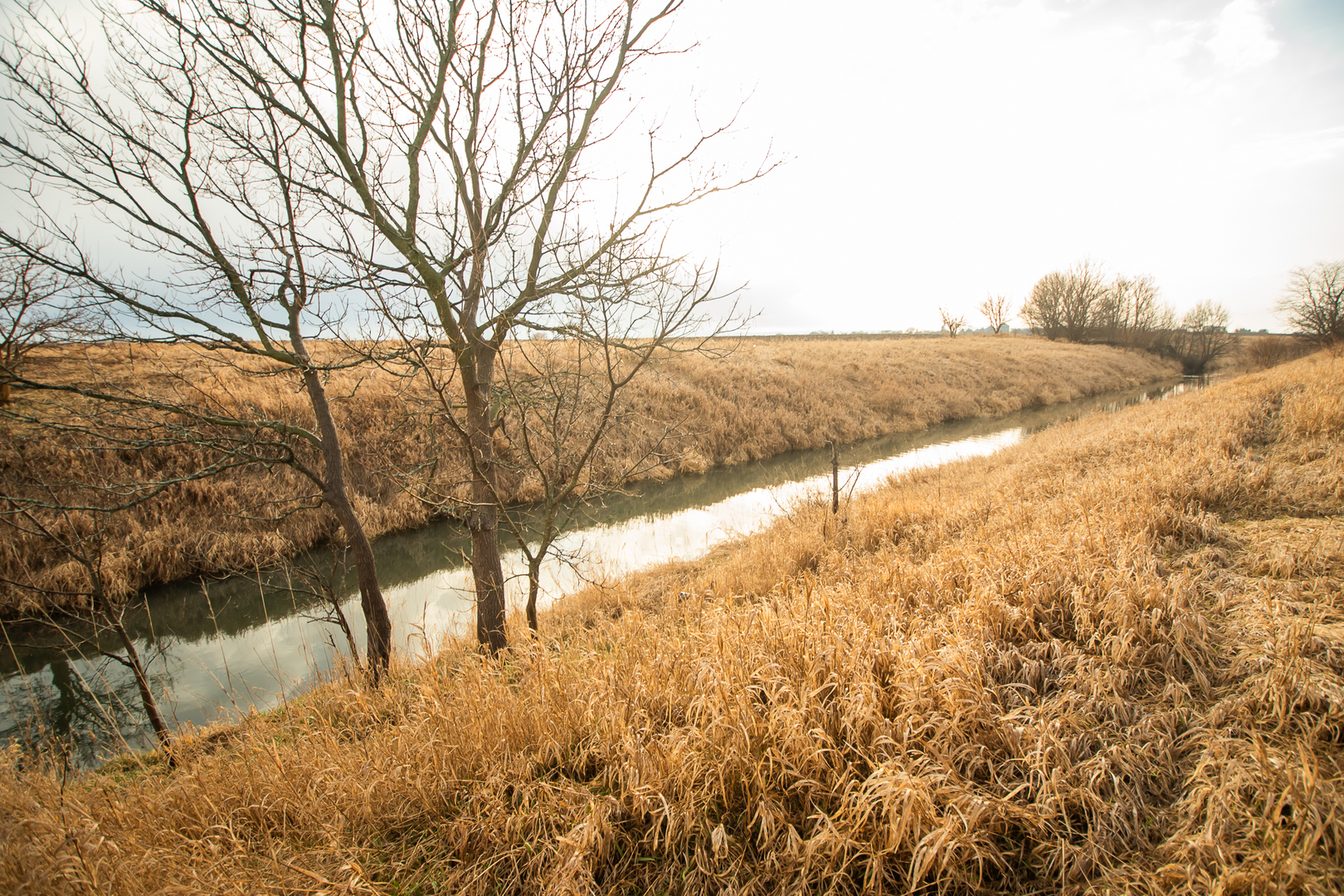 874 North 39th Road Mendota, IL 61342 - Photo 39 of 42 Gallery Image 39