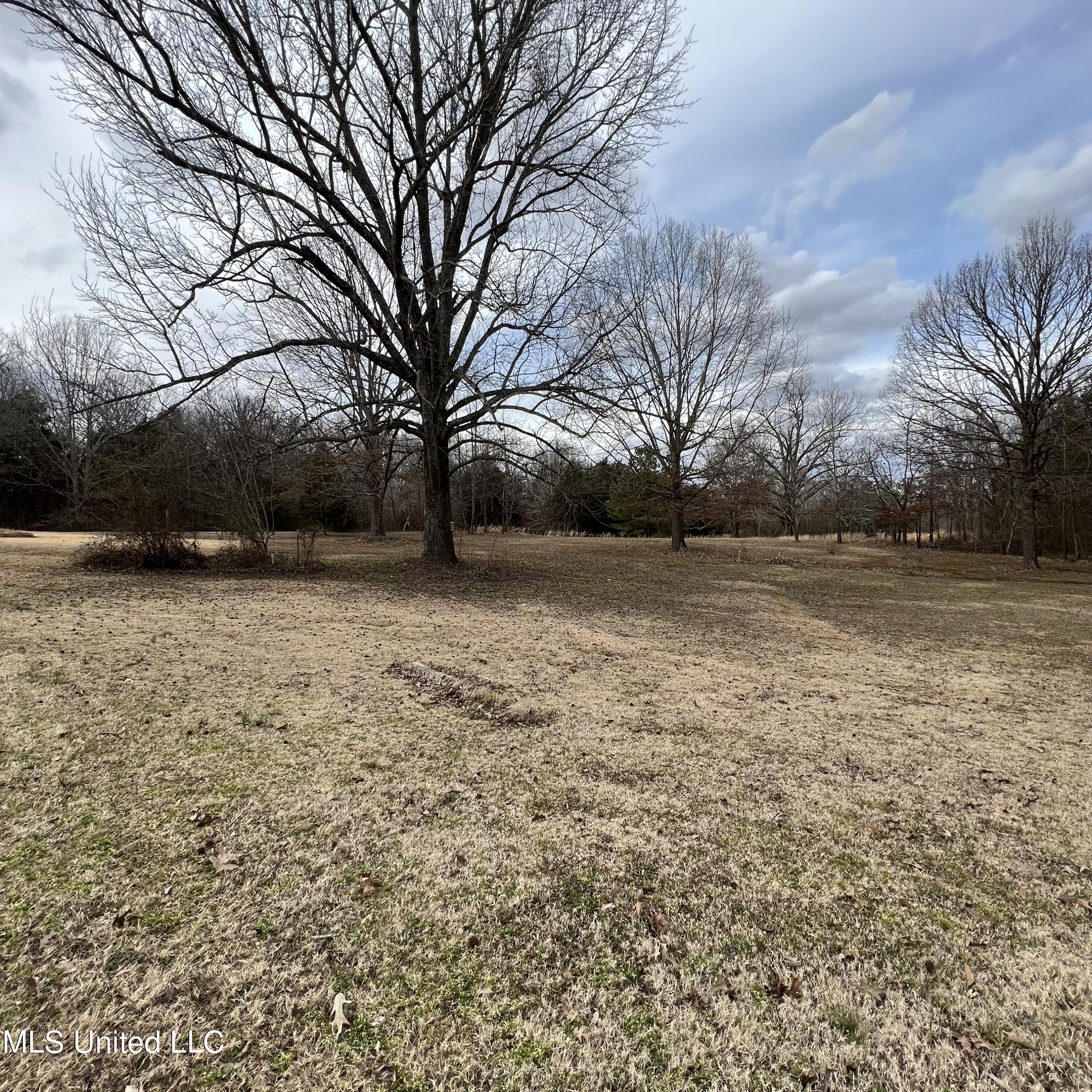 420 Strickland Road Byhalia, MS 38611 - Photo 25 of 52 IMG_9637 5