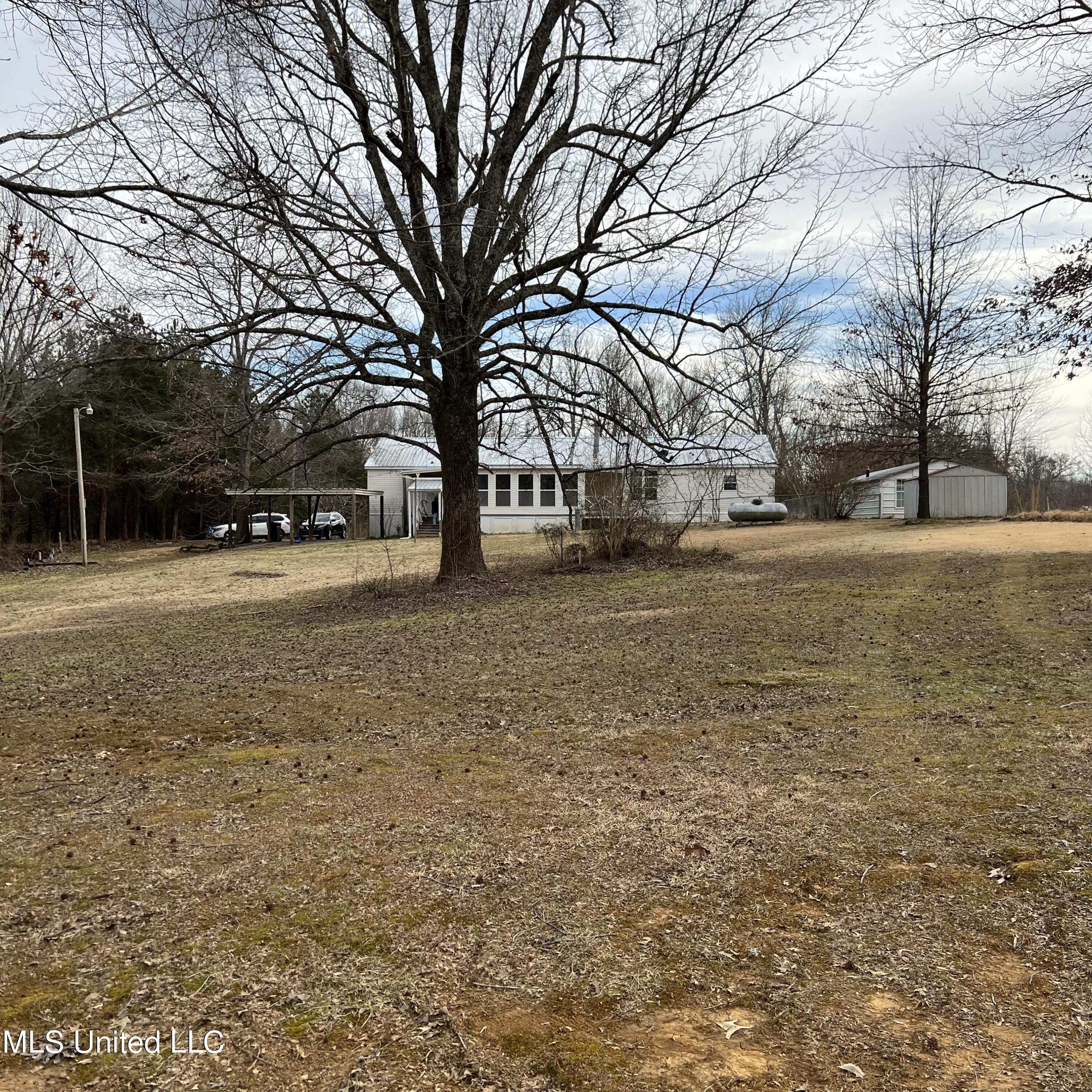 420 Strickland Road Byhalia, MS 38611 - Photo 29 of 52 IMG_9640 5