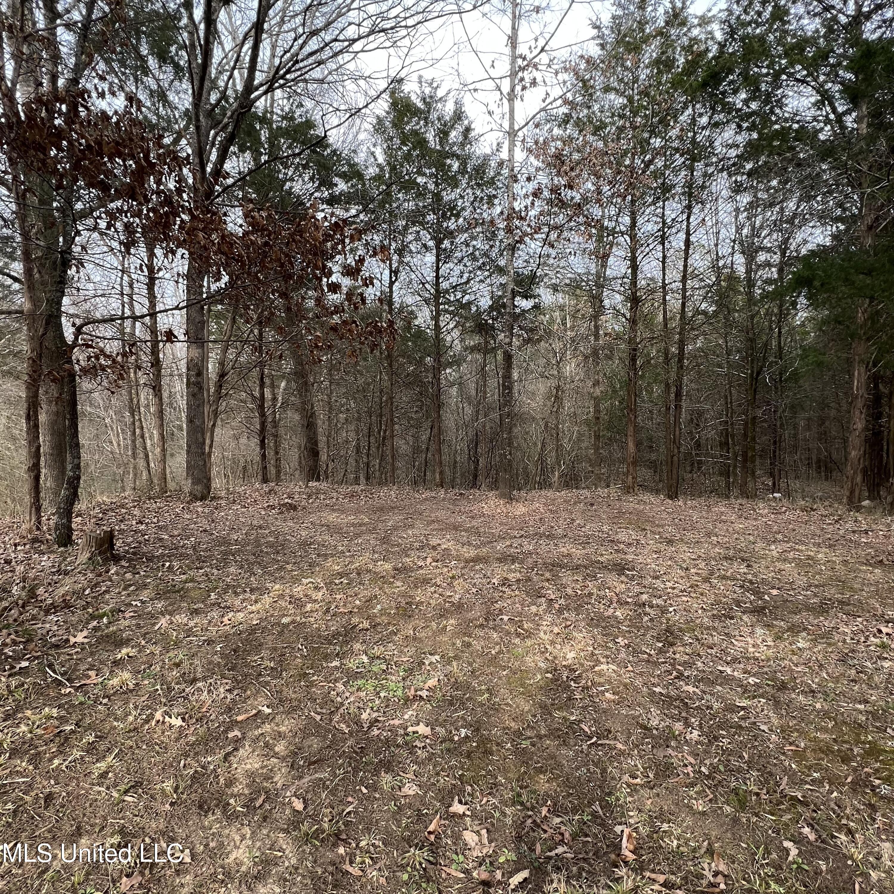 420 Strickland Road Byhalia, MS 38611 - Photo 51 of 52 IMG_9692 2