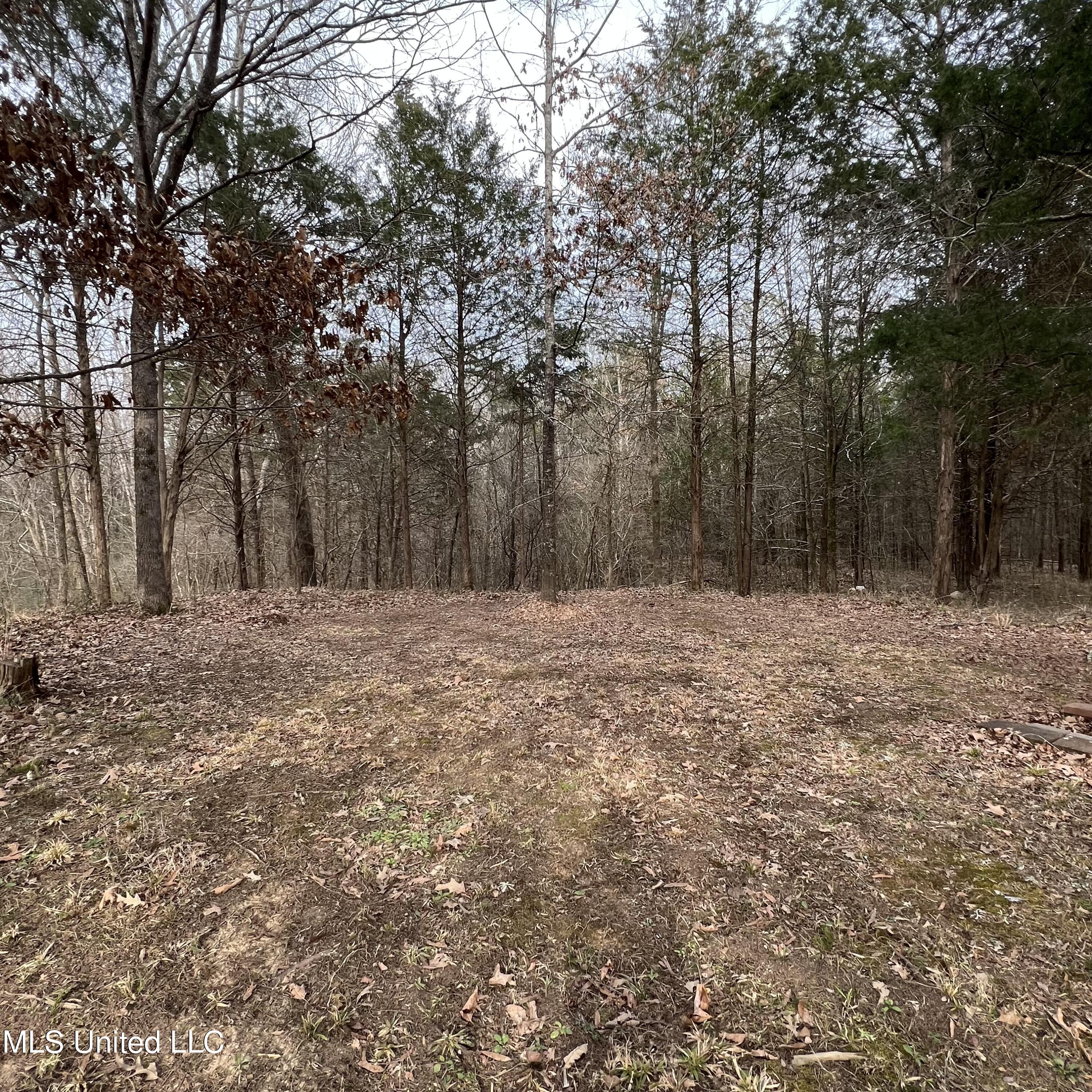 420 Strickland Road Byhalia, MS 38611 - Photo 52 of 52 IMG_9693 2