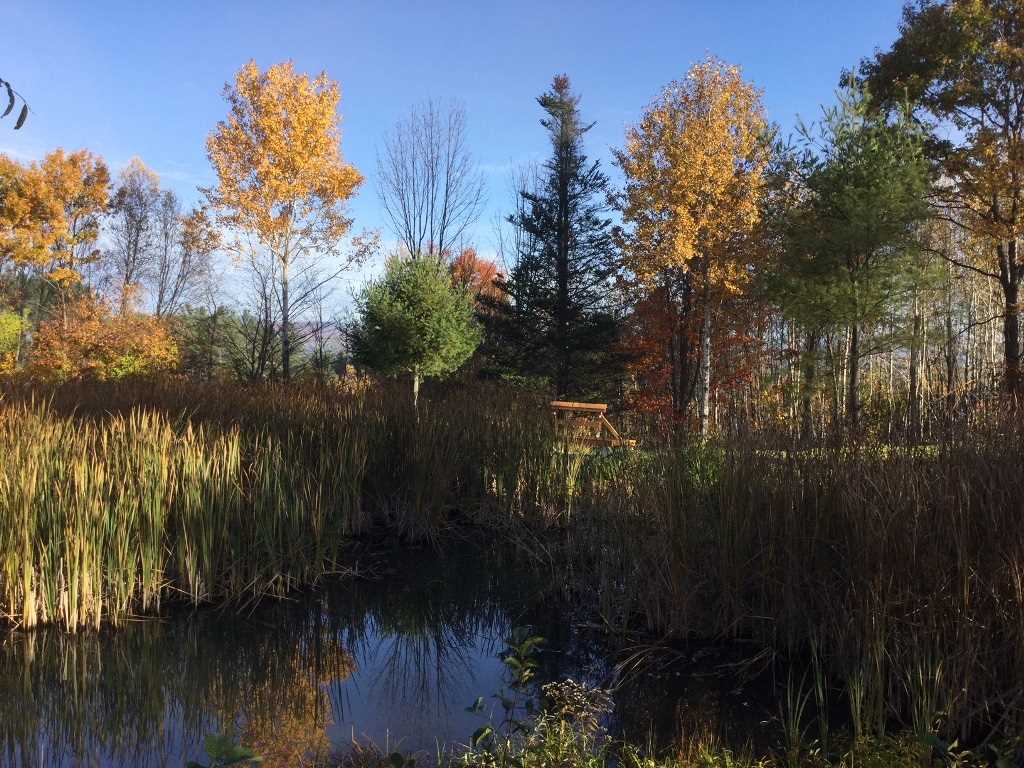 249 Jones Hill Road Enfield, NH 03748 - Photo 8 of 16