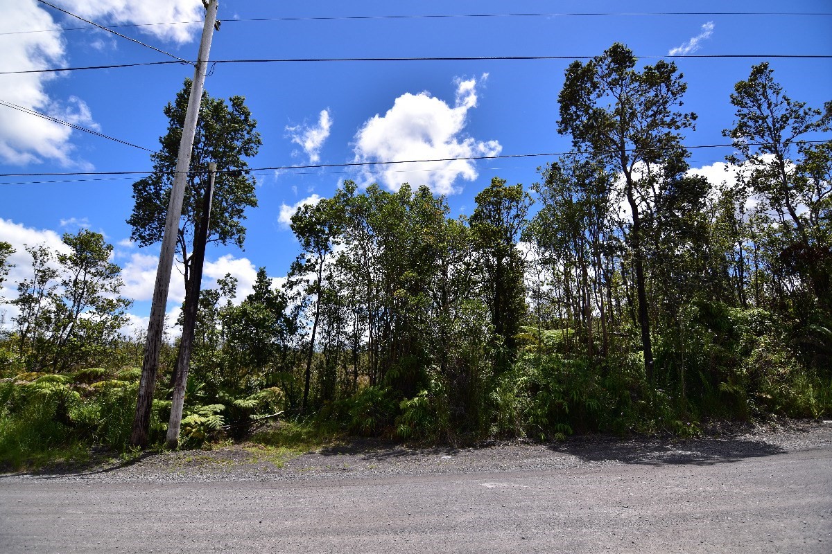 8 Omeka Road Mountain View, HI 96771 - Photo 2 of 7 Gallery Image 2