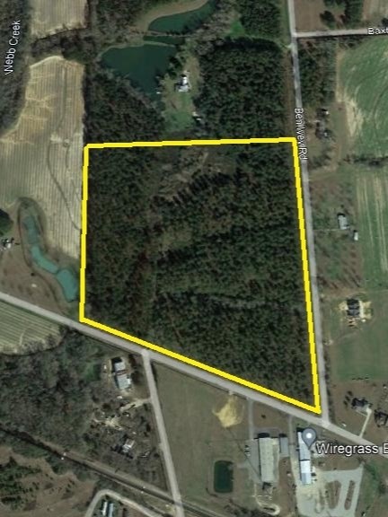 225 Ben Ivey Road Webb, AL 36376 - Photo 4 of 6