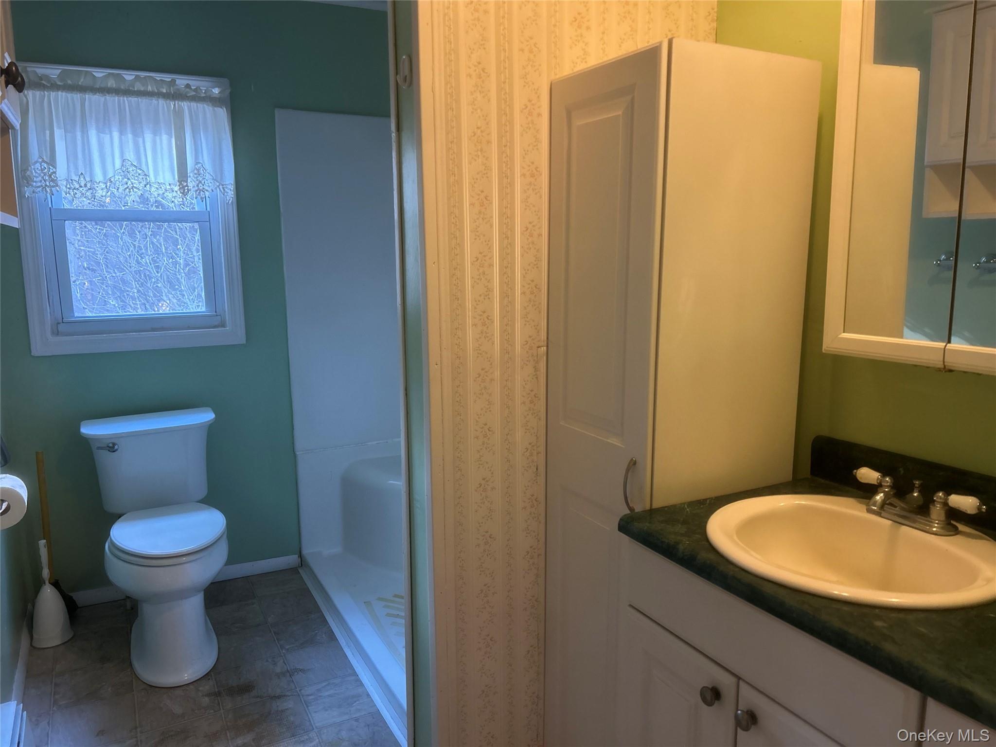 65 Eldred-Yulan Road Eldred, NY 12732 - Photo 14 of 22 a bathroom with a toilet a sink and mirror