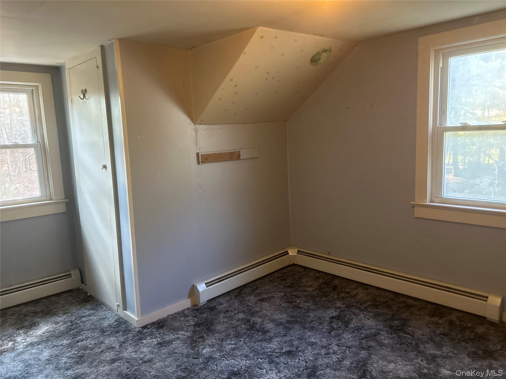 65 Eldred-Yulan Road Eldred, NY 12732 - Photo 19 of 22 an empty room with a empty space and windows