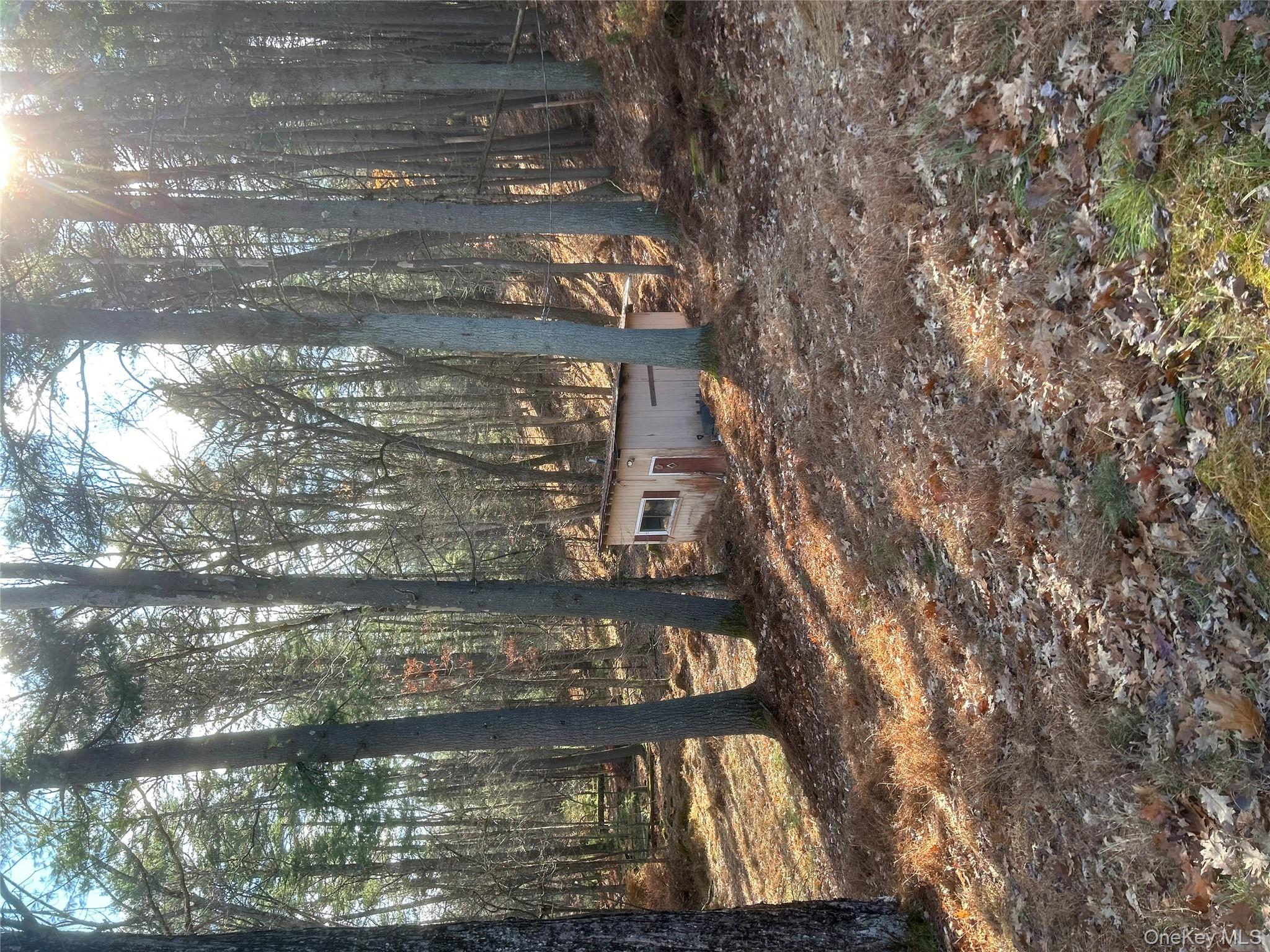 65 Eldred-Yulan Road Eldred, NY 12732 - Photo 21 of 22 a view of a outdoor space with trees