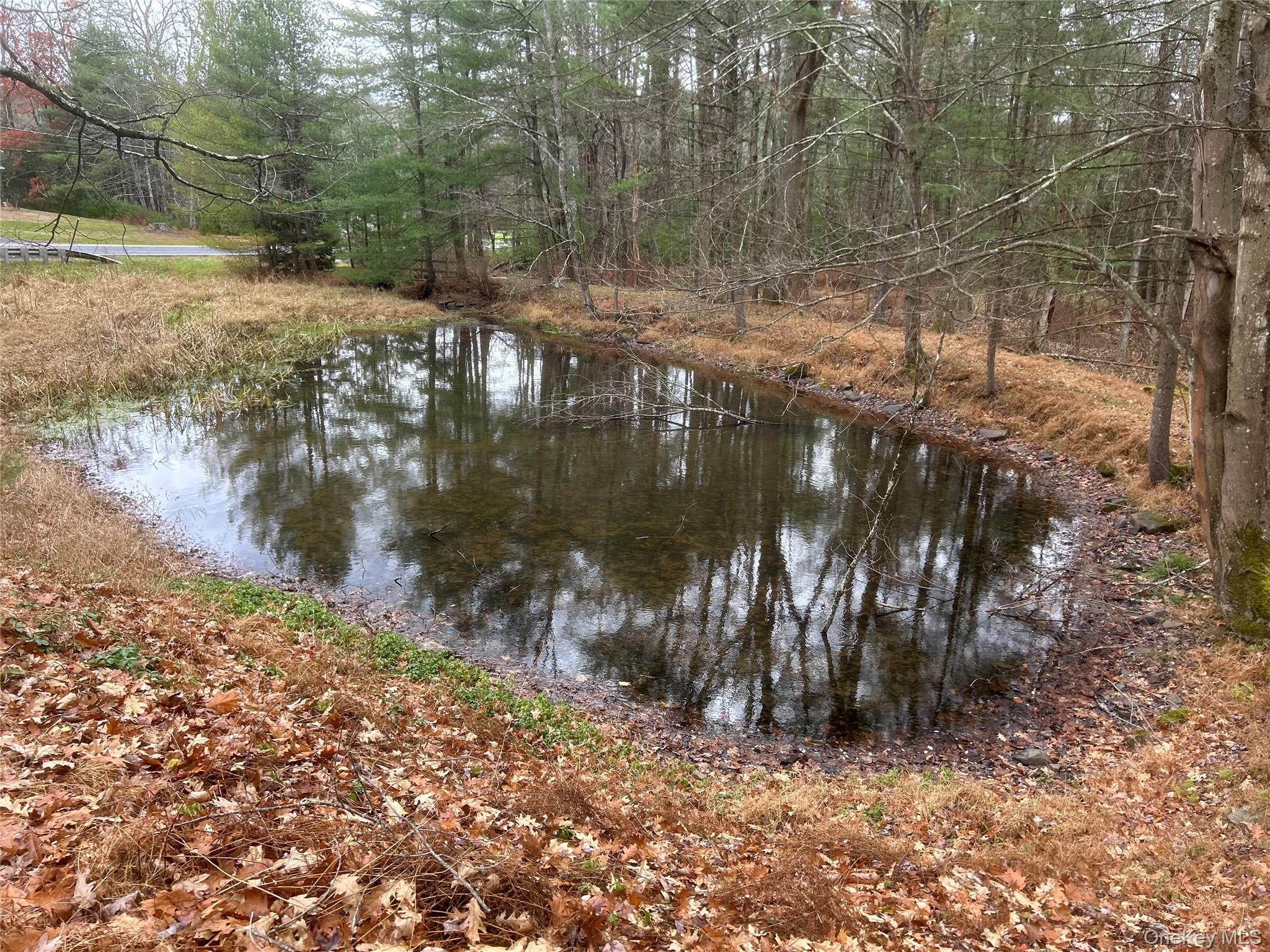 65 Eldred-Yulan Road Eldred, NY 12732 - Photo 3 of 22 a view of a lake with a yard