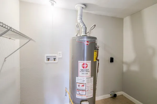 a view of a backyard with plants and large trees