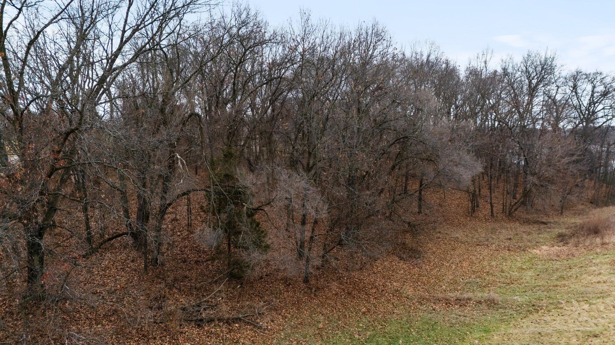 893 Ridge Road Chelsea, MI 48118 - Photo 23 of 25 23-web-or-mls-DJI_20241217135529_0252_D