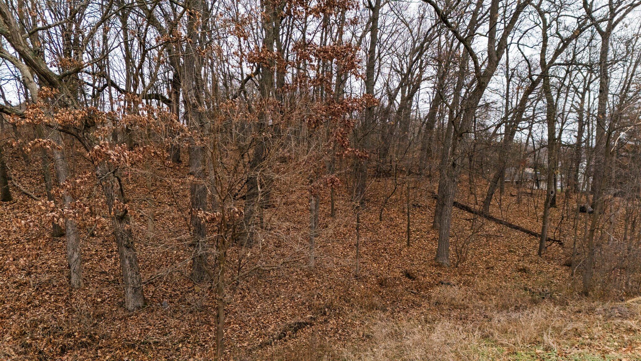 893 Ridge Road Chelsea, MI 48118 - Photo 25 of 25 25-web-or-mls-DJI_20241217135558_0254_D