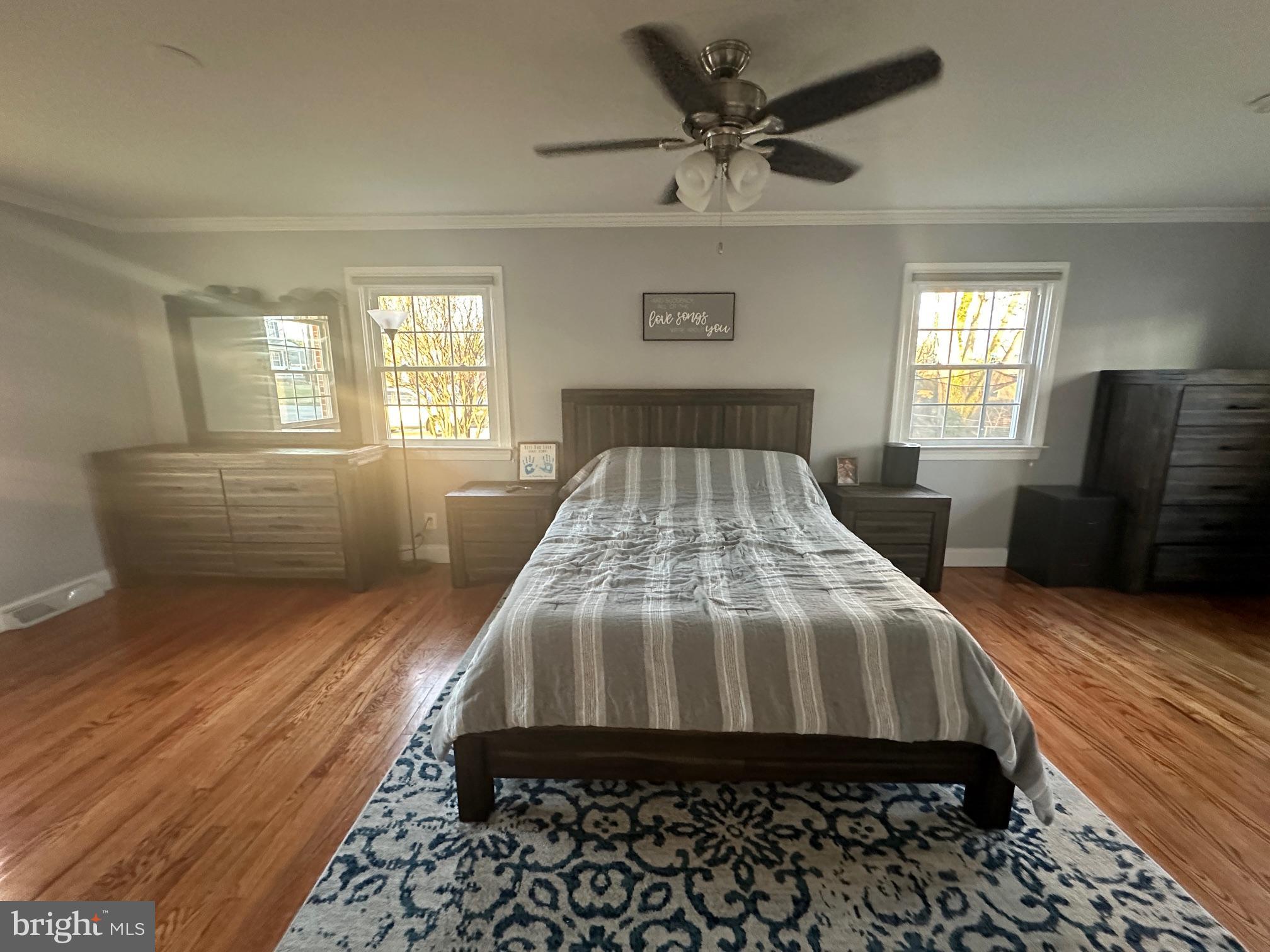 231 Inlet Drive Pasadena, MD 21122 - Photo 12 of 38 Large Primary Bedroom, ceiling fan, crown, hardwd.