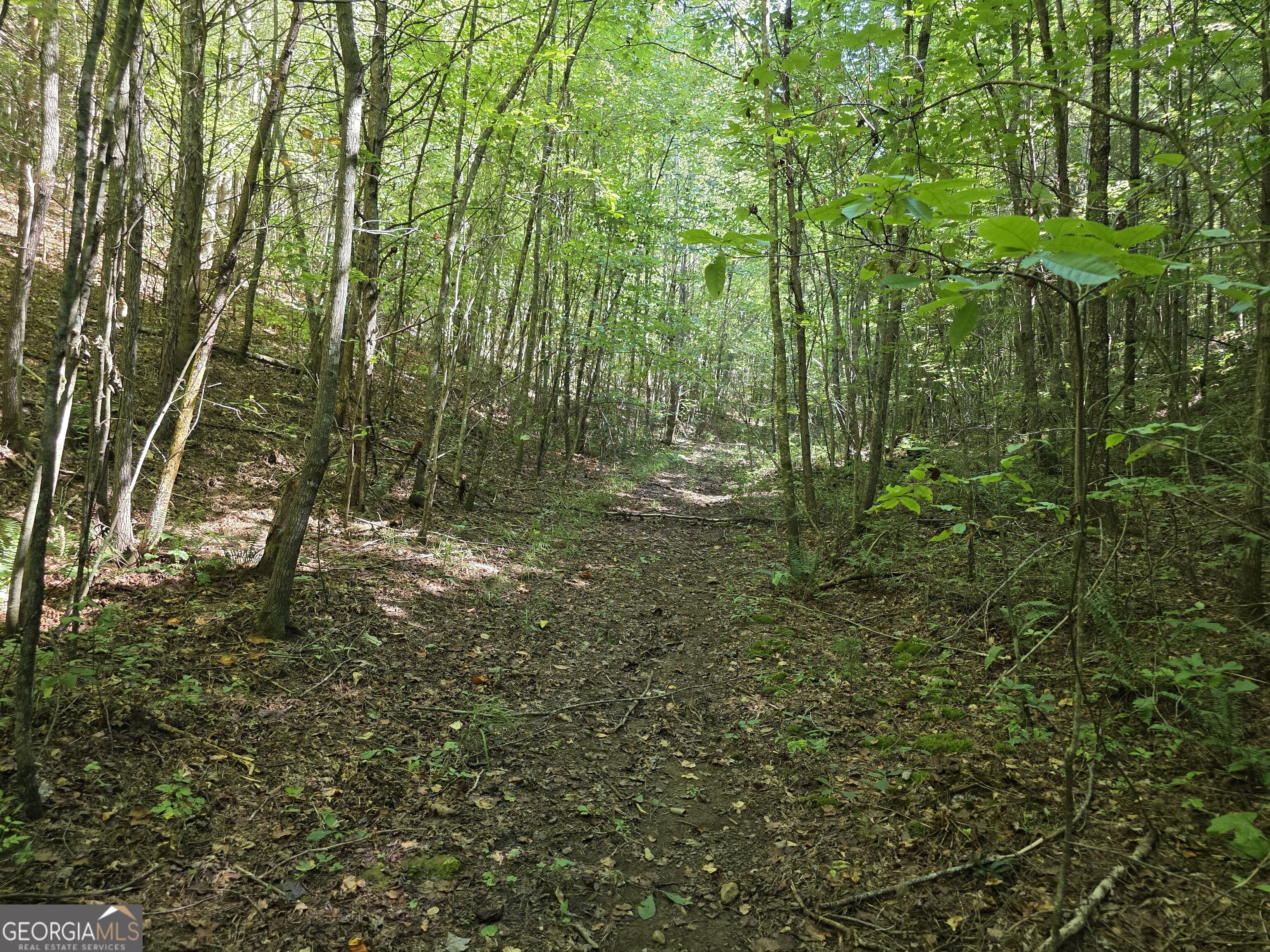 34.98 Hall Road Turtletown, TN 37391 - Photo 47 of 47 Gallery Image 47