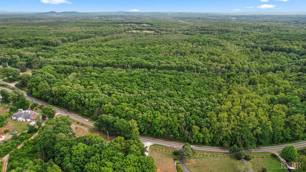0 South Coolwell Road Madison Heights, VA 24572 - Photo 2 of 15
