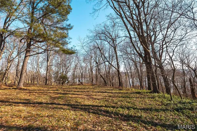 $625,000 | 1600 Albert Street, Golconda, IL 62938