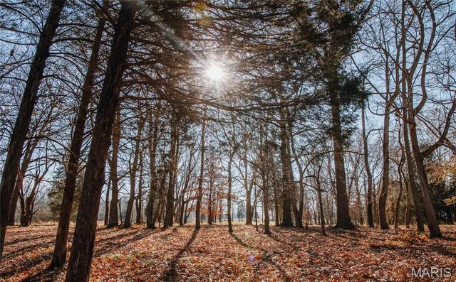 $625,000 | 1600 Albert Street, Golconda, IL 62938