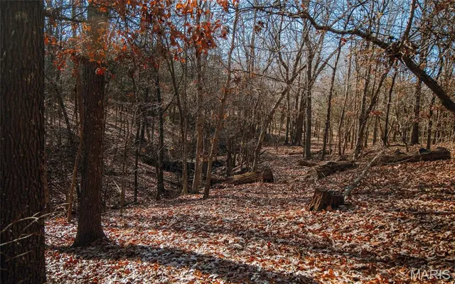 $625,000 | 1600 Albert Street, Golconda, IL 62938