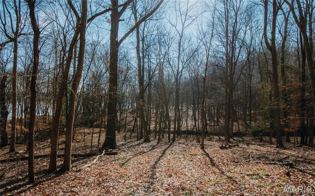 $625,000 | 1600 Albert Street, Golconda, IL 62938