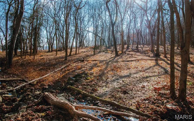 $625,000 | 1600 Albert Street, Golconda, IL 62938