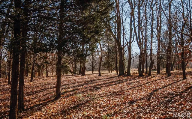 $625,000 | 1600 Albert Street, Golconda, IL 62938