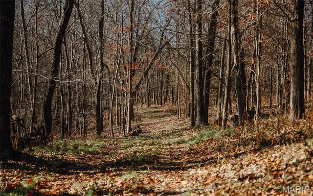 $625,000 | 1600 Albert Street, Golconda, IL 62938