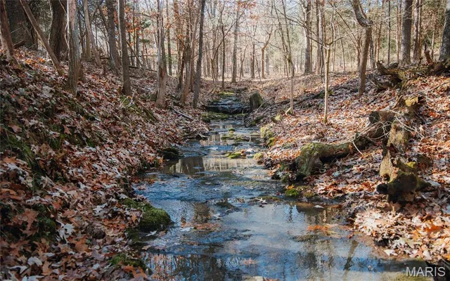 $625,000 | 1600 Albert Street, Golconda, IL 62938