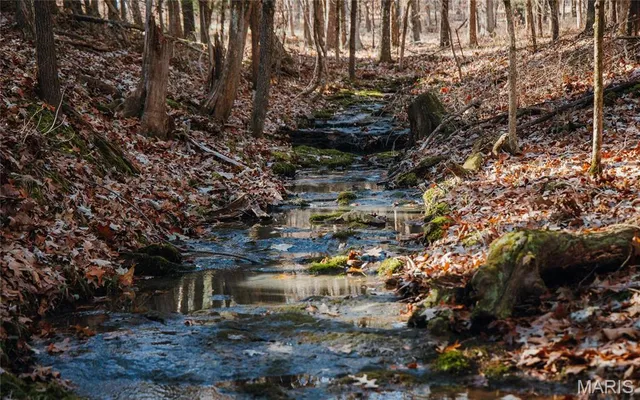 $625,000 | 1600 Albert Street, Golconda, IL 62938