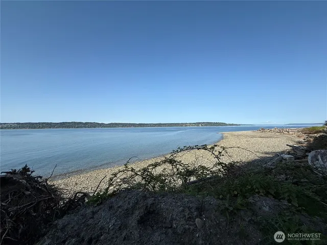 a view of a park with large trees
