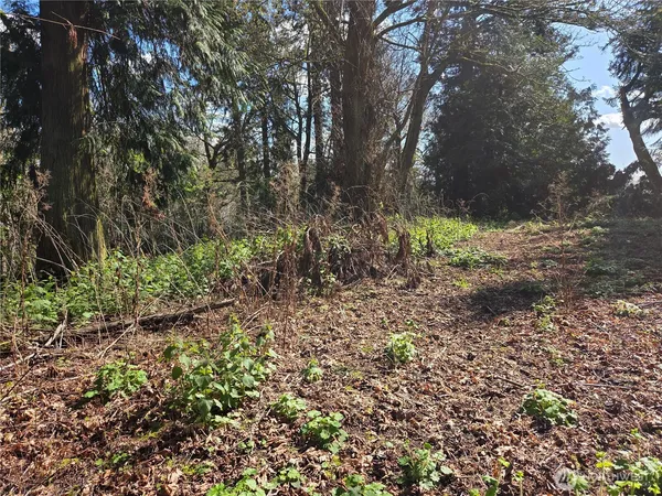 $95,000 | 12 W Gedney Way, Hat Island, WA 98201